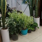 تصویر 1 آرایشگاه ایده آل