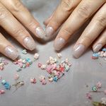 تصویر 2 ریحون نیل