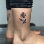 تصویر 0 هیژان تتو(مخصوص بانوان)