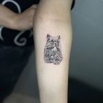 تصویر 2 هیژان تتو(مخصوص بانوان)