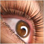 تصویر 1 خدمات تخصصی لیفت و لمینیت مستر آکادمی Elan