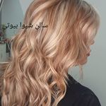 تصویر 0 سالن شیوا VIP