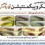 تصویر 0 مرکز زیبایی فارناسیس