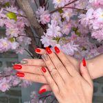 تصویر 0 آرایشگاه زنانه صبا(تخفیف ویژه خدمات مو)