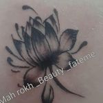 تصویر 0 مدل اکستنشن مژه و فیبروز ابرو  انواع تتو