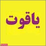 تصویر 4 طراحی و هاشور ابرو یاقوت