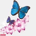 تصویر 0 سالن زیبایی کنتس