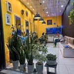 تصویر 0 پیرایش مدرن خدمات تخصصی داماد رنگ مو فر