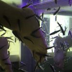 تصویر 3 کاشت ناخن فیش اسپا پارافین تراپی