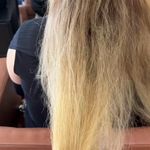 تصویر 3 کراتین تخصصی ژینوس قم