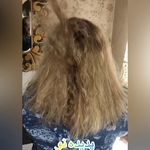 تصویر 3 سالن زیبایی پدیده نو