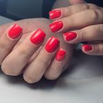 تصویر 0 خدمات تخصصی کاشت ناخن شیما حامدی