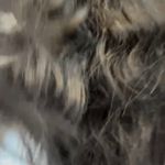 تصویر 3 آرایشی زیبایب