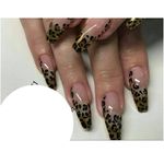 تصویر 0 سالن زیبایی خدمات کاشت ناخن و بافت مو