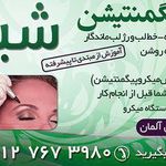 تصویر 1 میکروپیگمنتیشن شیکا