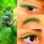 تصویر 4 مرکز تخصصی اکستنشن مژه و لیفت نگار