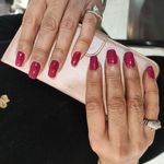 تصویر 4 خدمات تخصصی ناخن و مژه فرناز مینا