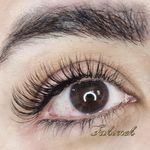 تصویر 0 خدمات تخصصی مژه فهیمه