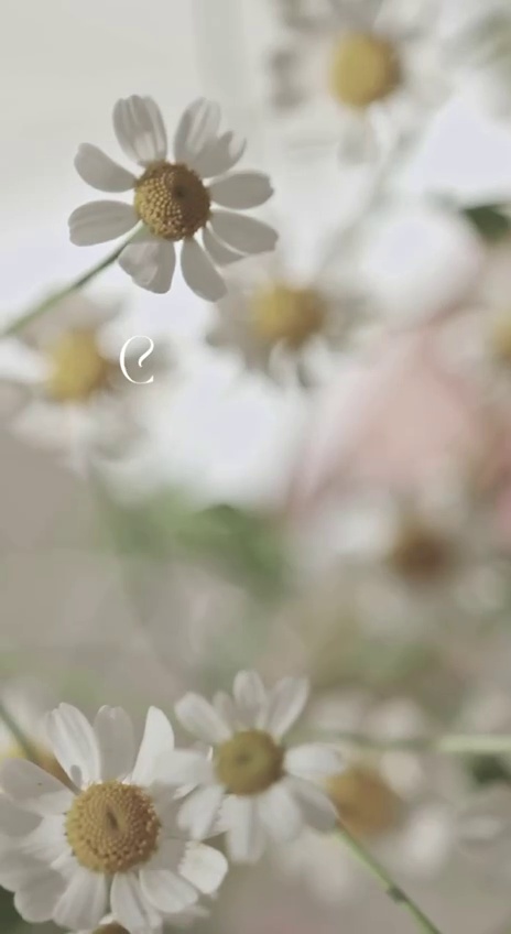 کلینیک پوست مو زیبایی دکتر نیلوفر مریمی