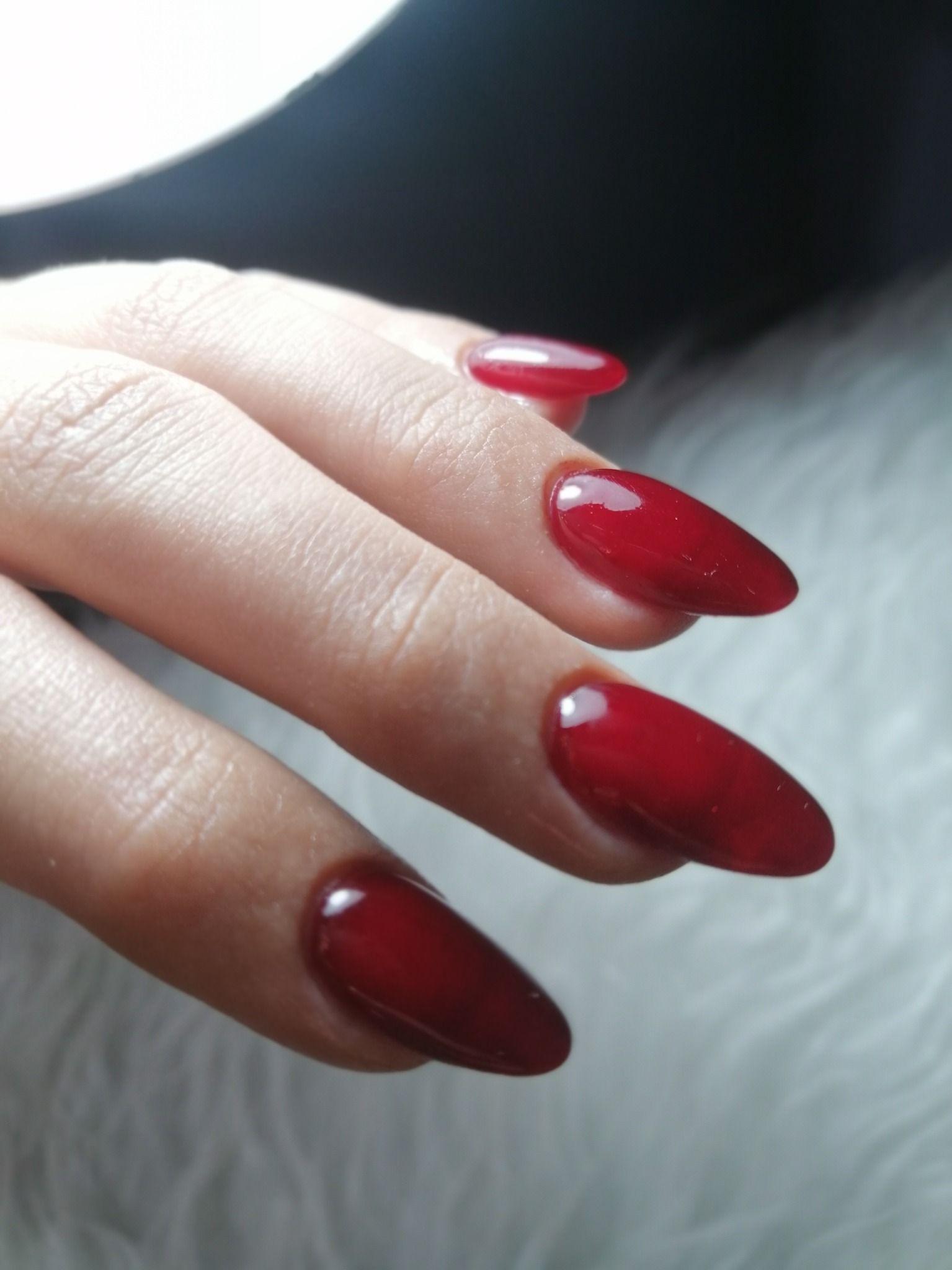 خدمات ناخن نیلوفر وحیدی