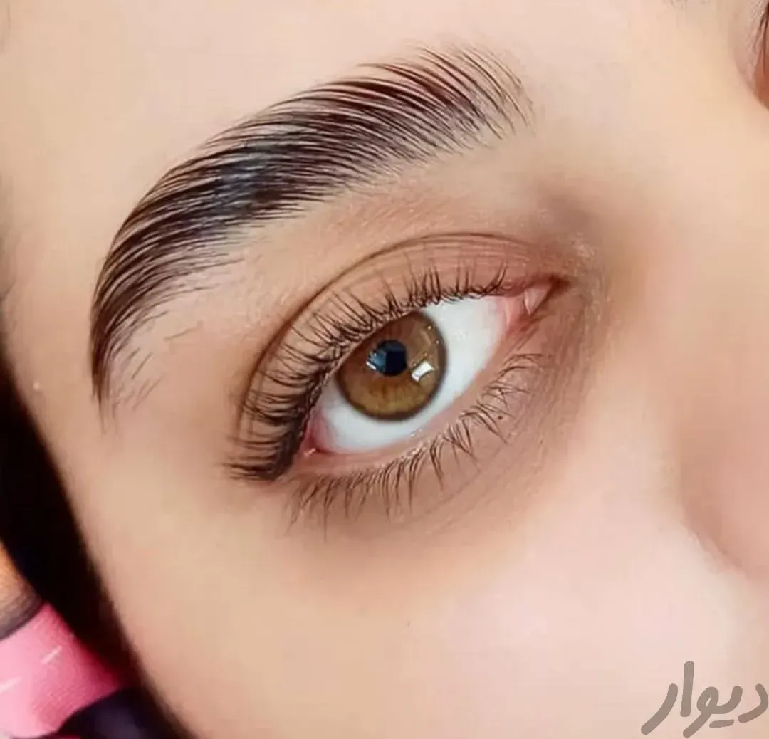خدمات لیفت ابرو و مژه