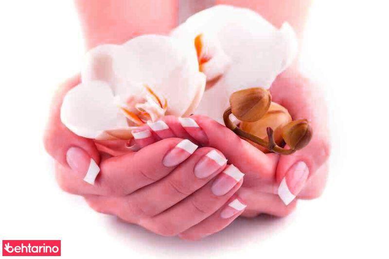 سالن زیبایی نقشینه