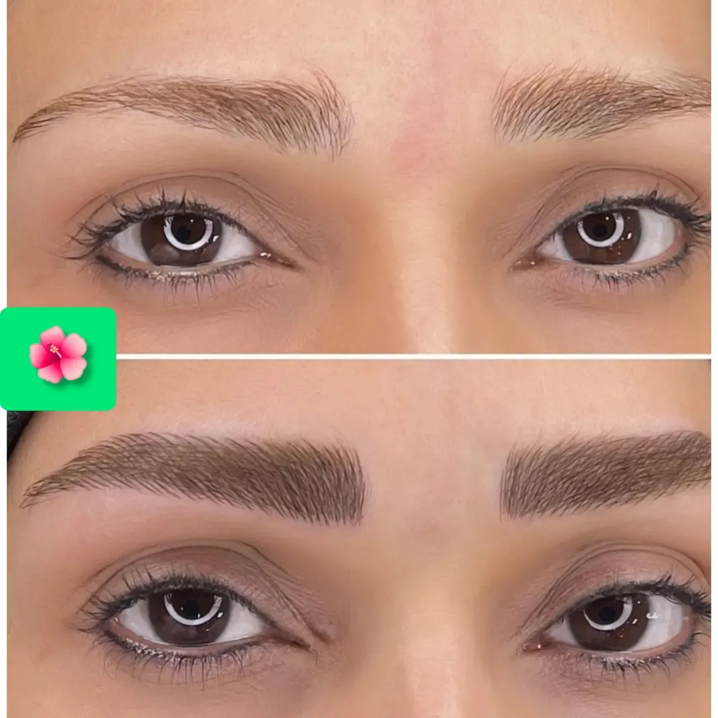 ابرو فیبرز میکروبیدینگ هاشور