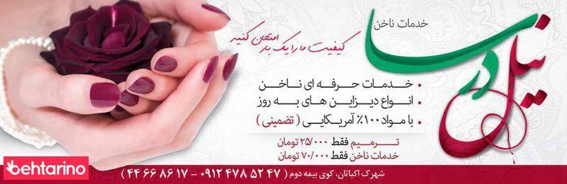 نیل درسا