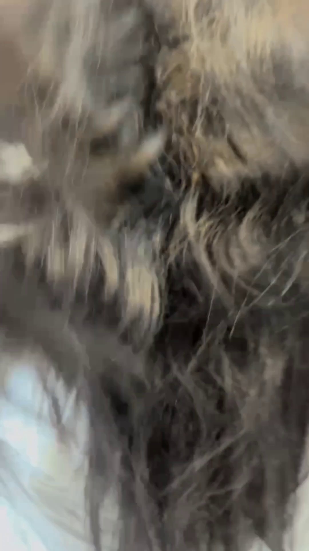 آرایشی زیبایب