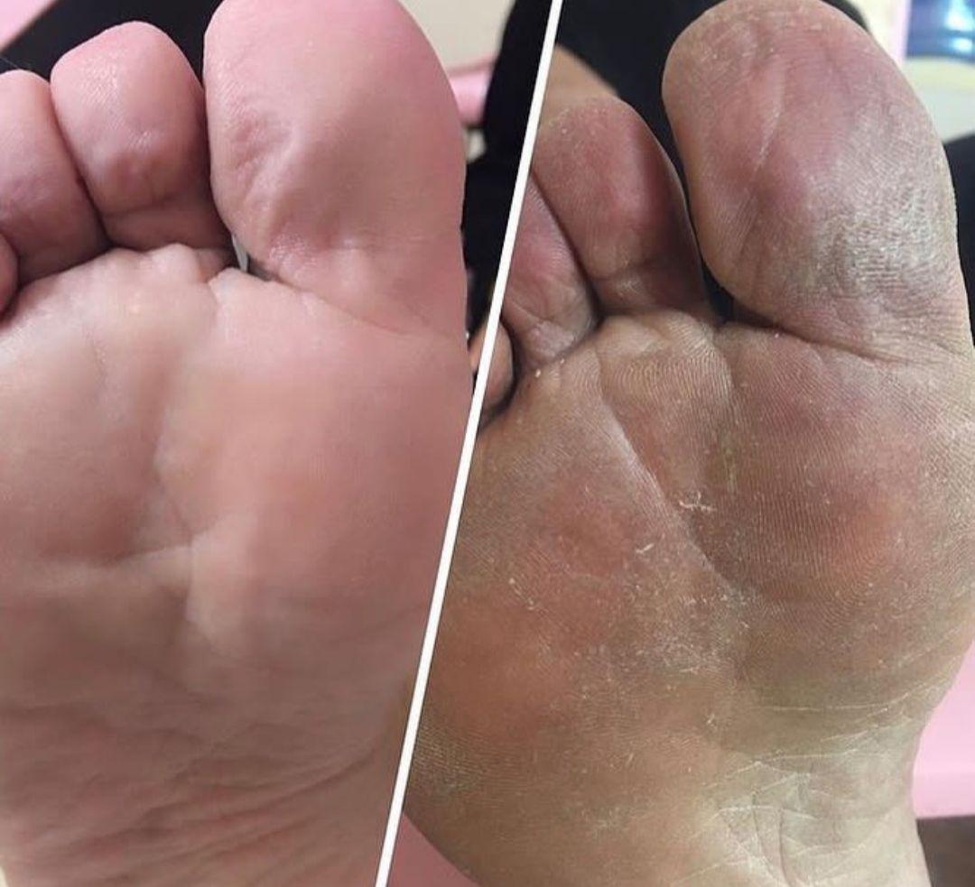 خدمات تخصصی مینا