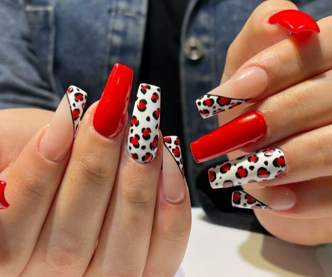 خدمات تخصصی مینا