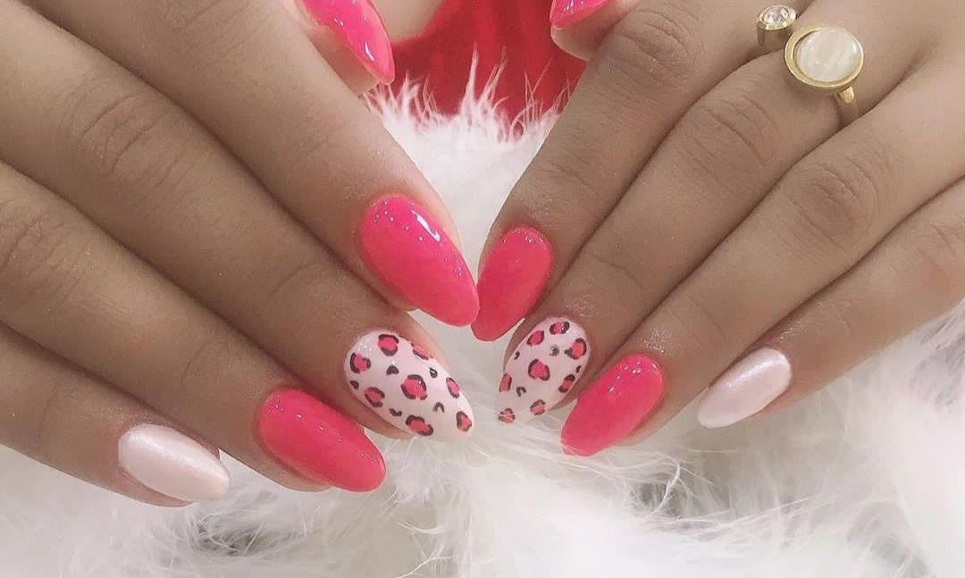 خدمات تخصصی مینا