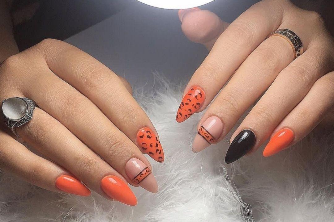 خدمات تخصصی مینا