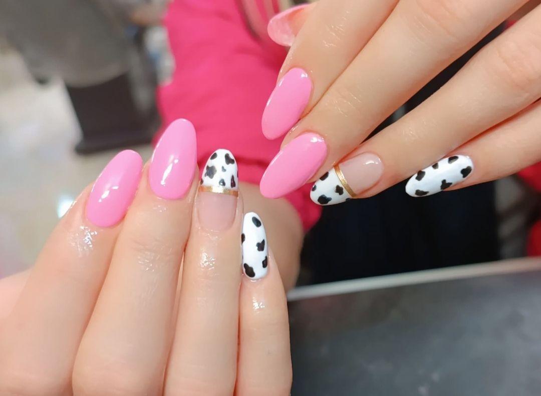 خدمات تخصصی مینا