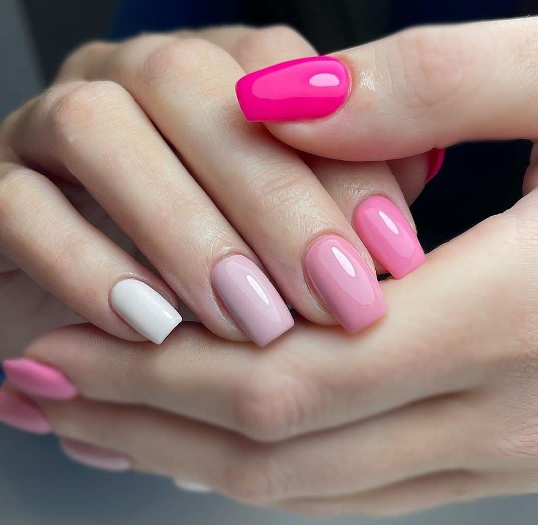 خدمات تخصصی مینا