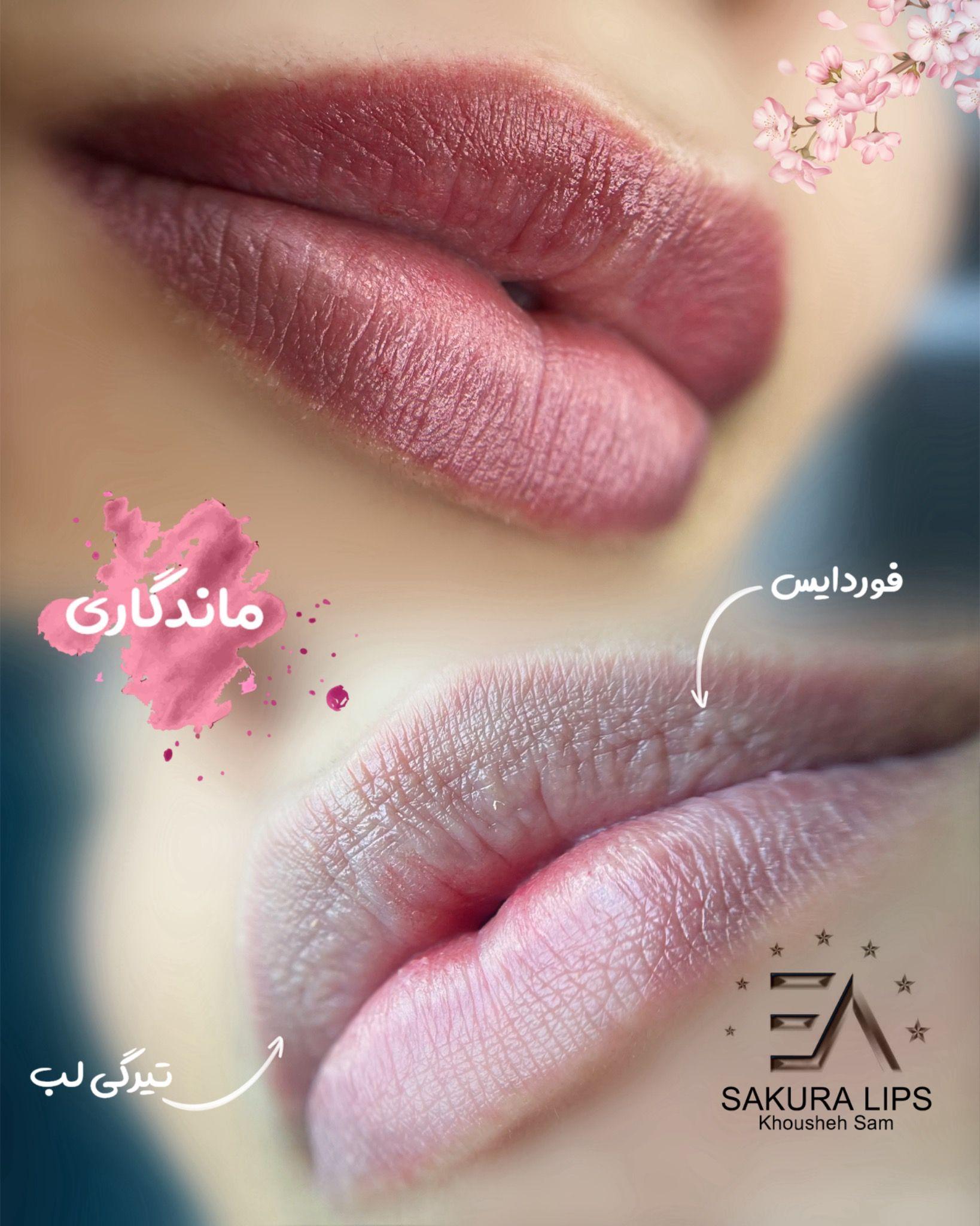 سالن زيبايي و آموزشگاه  فنی و حرفه ای  تخصصي مژه و فيبروز خوشه سام