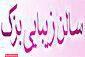 سالن زیبایی بزک