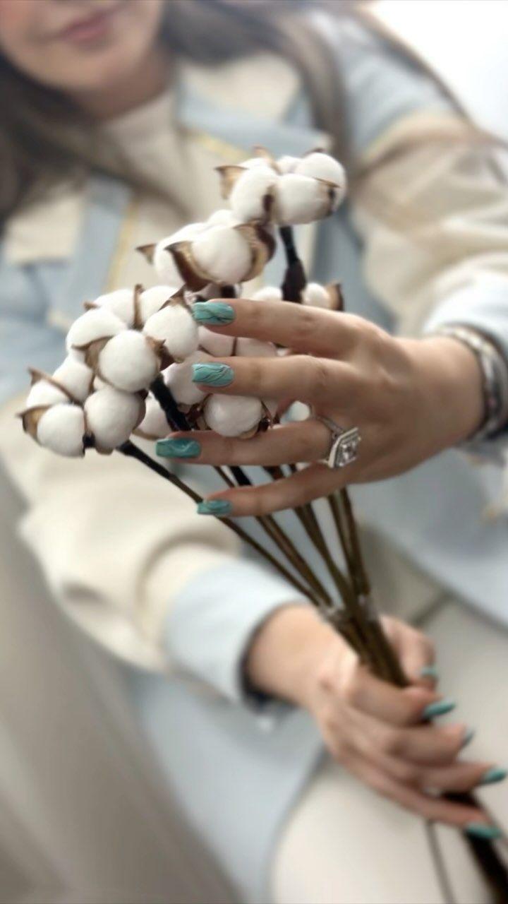 سالن زیبایی سیب نقره ای