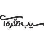 سالن زیبایی سیب نقره ای